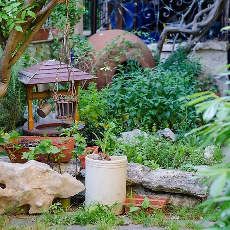 Ξενοδοχείο Kalypso