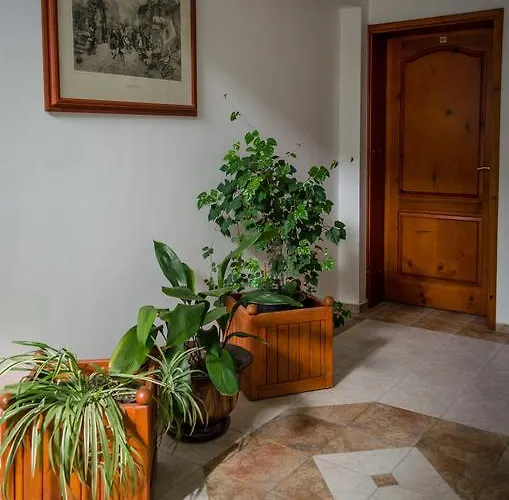 Hotel Kalypso Primorsko